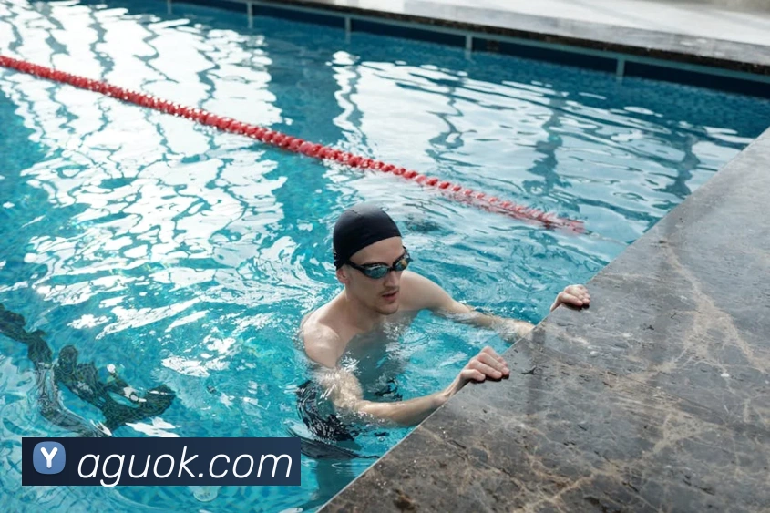 ag官网平台生态图